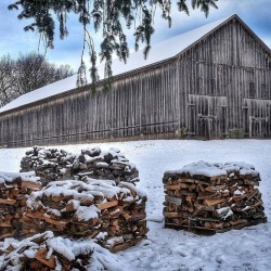 G05 Firewood Stacked for Winter