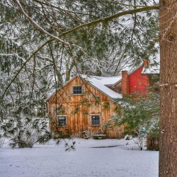 G12 Cabin in the Woods