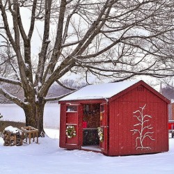 G13 Farmstand at Bussa Orchards
