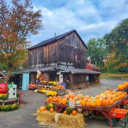 10Oct Old Cider Mill