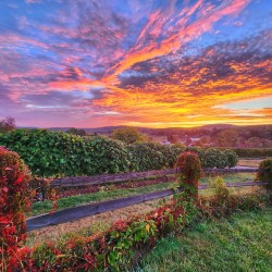 09Aug Belltown Hill Orchards