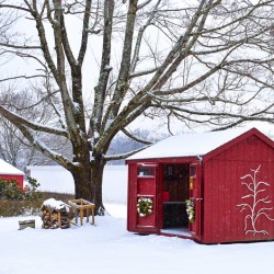 00Cover-Bussa Orchards in Winter