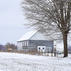 04 Gray Barn in Snow