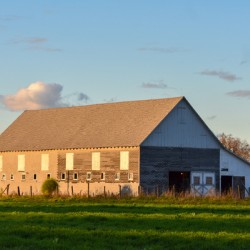 20 Spring Day on the Farm 