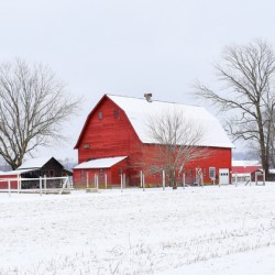 09 Winter on Horton Farm