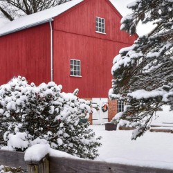 17 Snow Day in New England