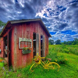 07 Summer Day Gutt Farm