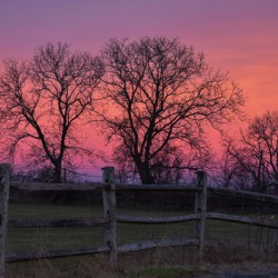 18 Morning Sunrise on the Farm