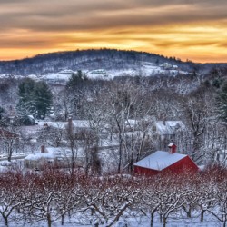 G06 Belltown Orchards Under Snow