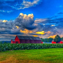 12 Clouds Over Horton Farm