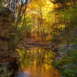 02 Cotton Hollow Autumn Glow