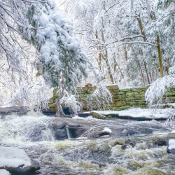 G04 Fresh Snow Cotton Hollow