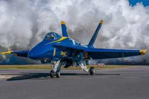 Blue Angel 8537