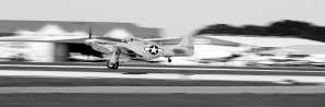 Mustang 0599