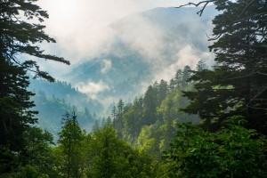 Great Smoky Mountains 0699