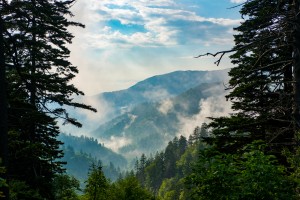 Great Smoky Mountains 0701