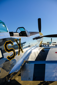 Mustang 3124