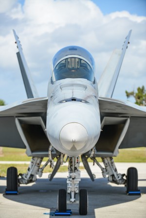 Super Hornet 6545