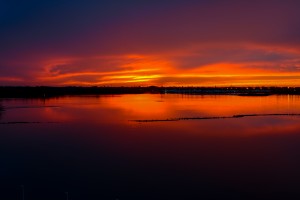 Sunset 7931