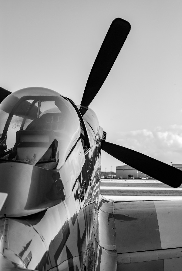Mustang 16092 by Rob Clements
