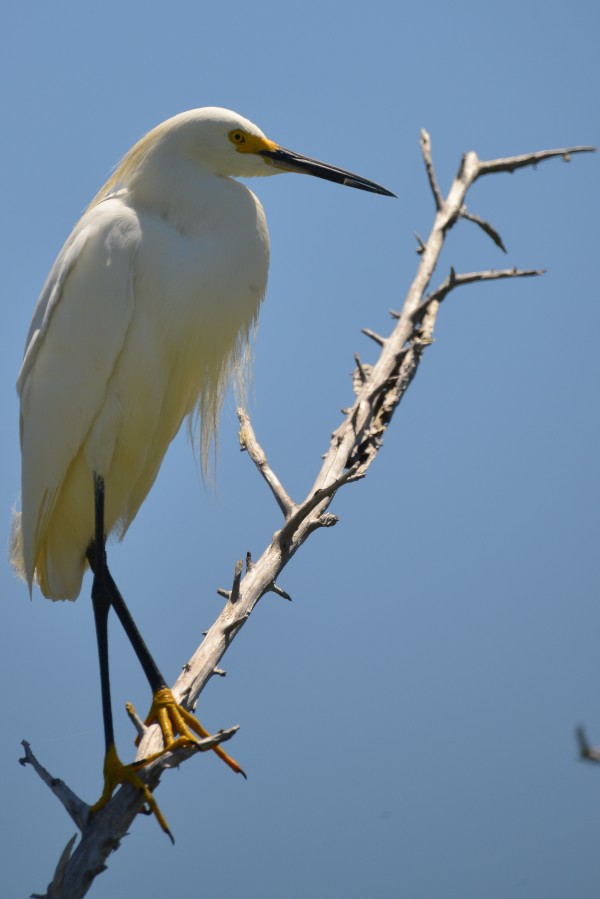D80 0033 Print