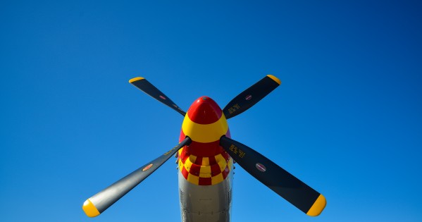 Mustang 0098 by Rob Clements