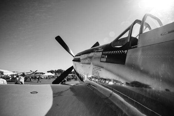 Mustang 0103 by Rob Clements