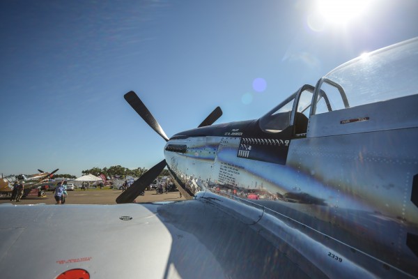 Mustang 0105 by Rob Clements