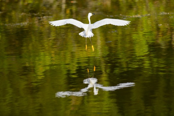 D80 0404 by Rob Clements