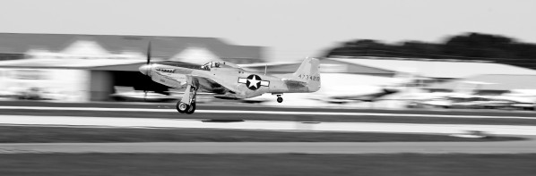 Mustang 0599 by Rob Clements