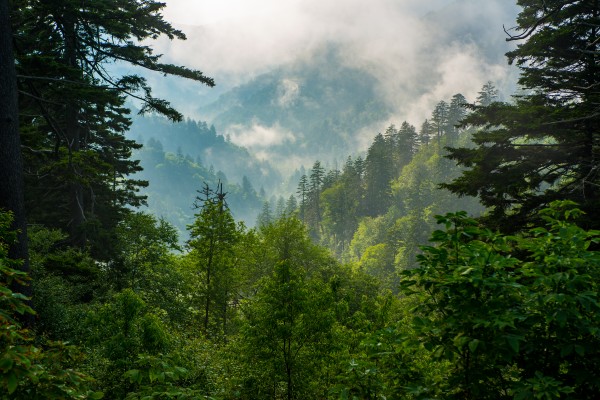 Great Smoky Mountains 0695 by Rob Clements