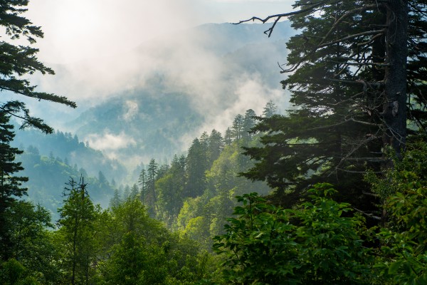 Great Smoky Mountains 0696 by Rob Clements