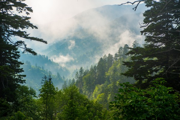 Great Smoky Mountains 0699 by Rob Clements