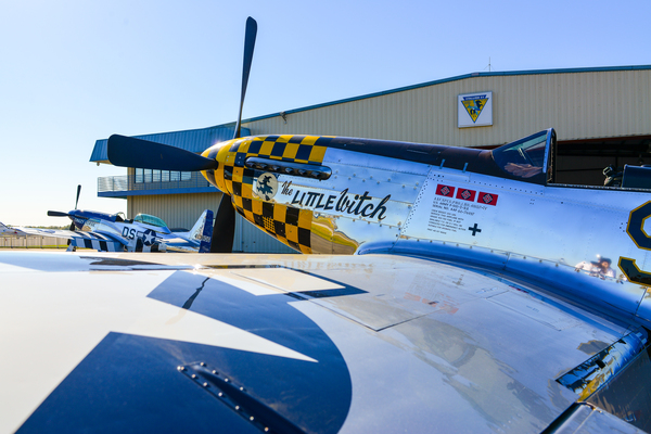 Mustang 3114 by Rob Clements
