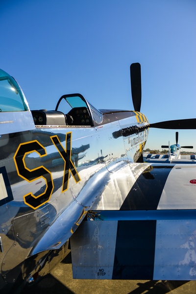 Mustang 3124 by Rob Clements