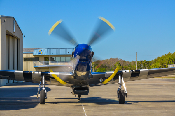 Mustang 3286 by Rob Clements