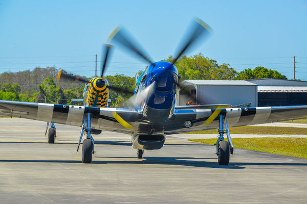 Mustang 3904 by Rob Clements