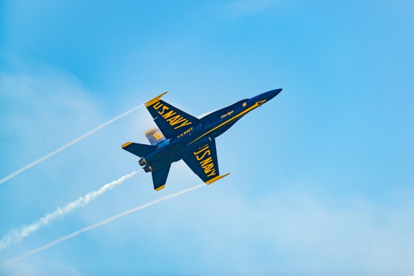 Blue Angel 4909 by Rob Clements