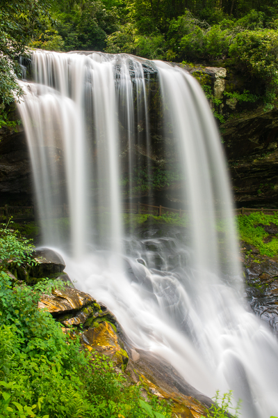 D80 4964 Print