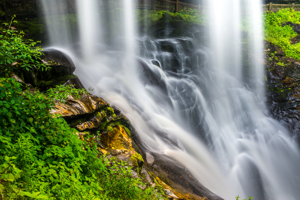 D80 4969 Print