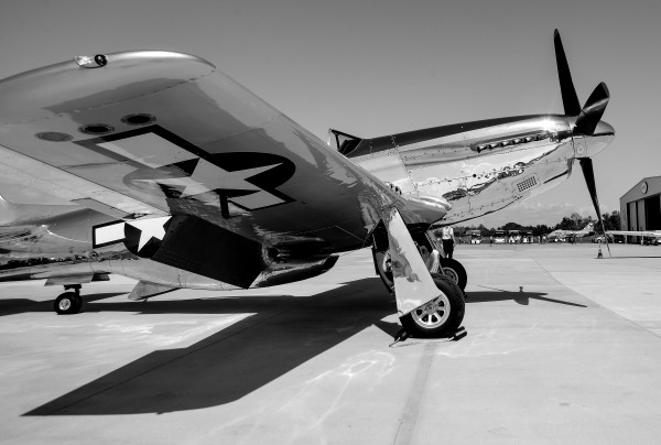 Mustang 6576 by Rob Clements