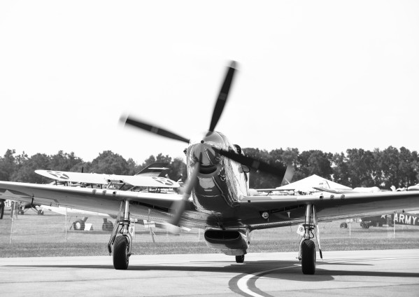 Mustang 9022 by Rob Clements