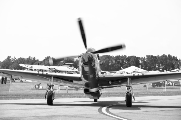 Mustang 9023 by Rob Clements