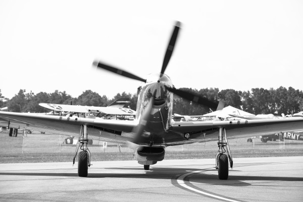 Mustang 9025 by Rob Clements