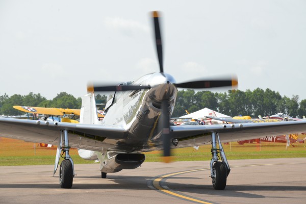 Mustang 9026 by Rob Clements