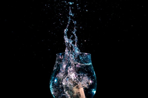 Splash 9172 Print