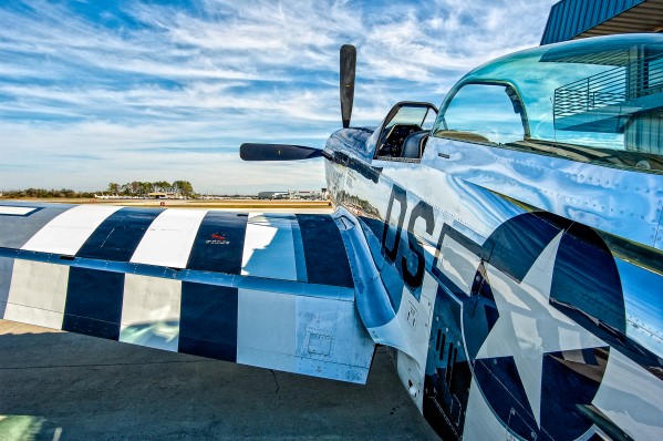 Mustang 3874 by Rob Clements
