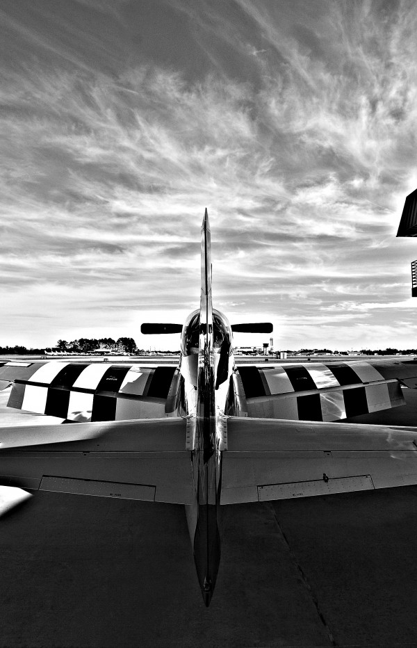 Mustang 3878 by Rob Clements