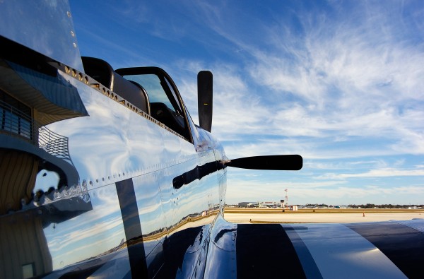 Mustang Reflection by Rob Clements