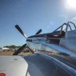 Mustang 0105